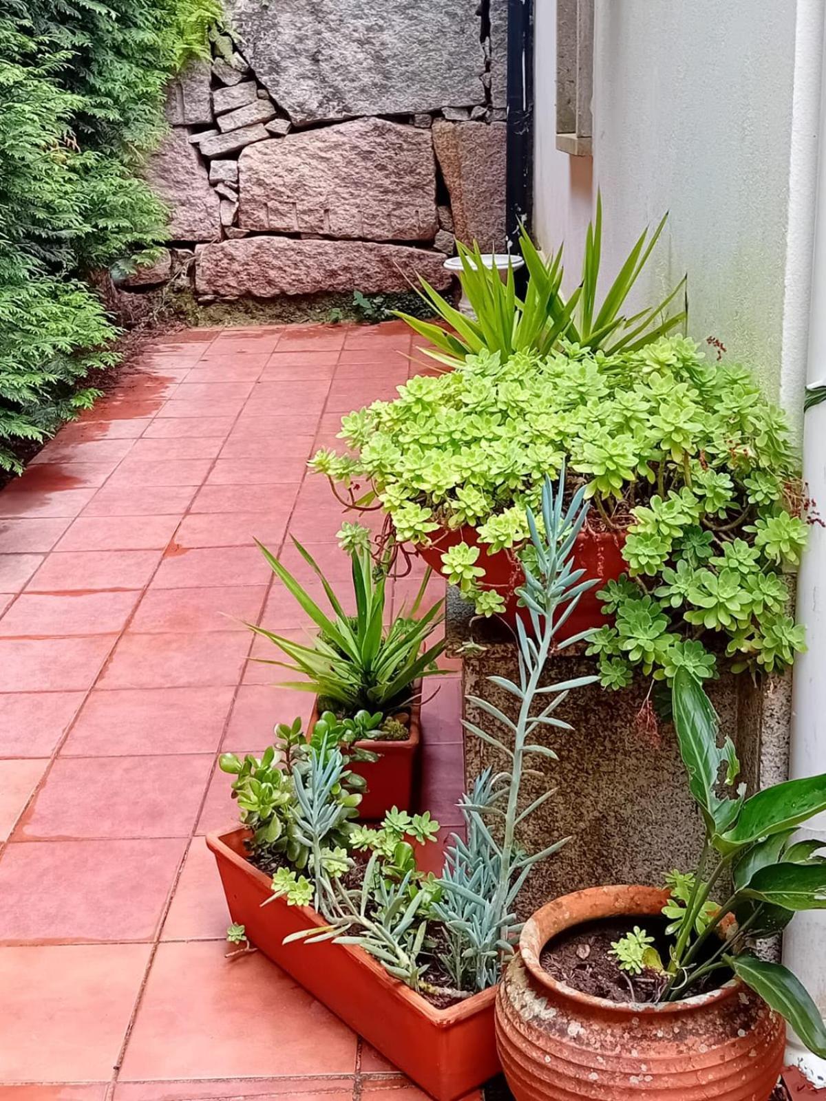 Vivienda Con Jardin Terraza Y Barbacoa Villa Picona Exteriör bild